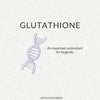 How to Optimally Support Glutathione Levels in the Body?