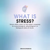 Stress Sensitivity and Eustress – Can You Increase Your Tolerance to Stress?