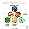 6 Foods to Support the Brain