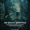 Air Quality Essentials – A Deep Dive into Air Purification and Its Health Benefits