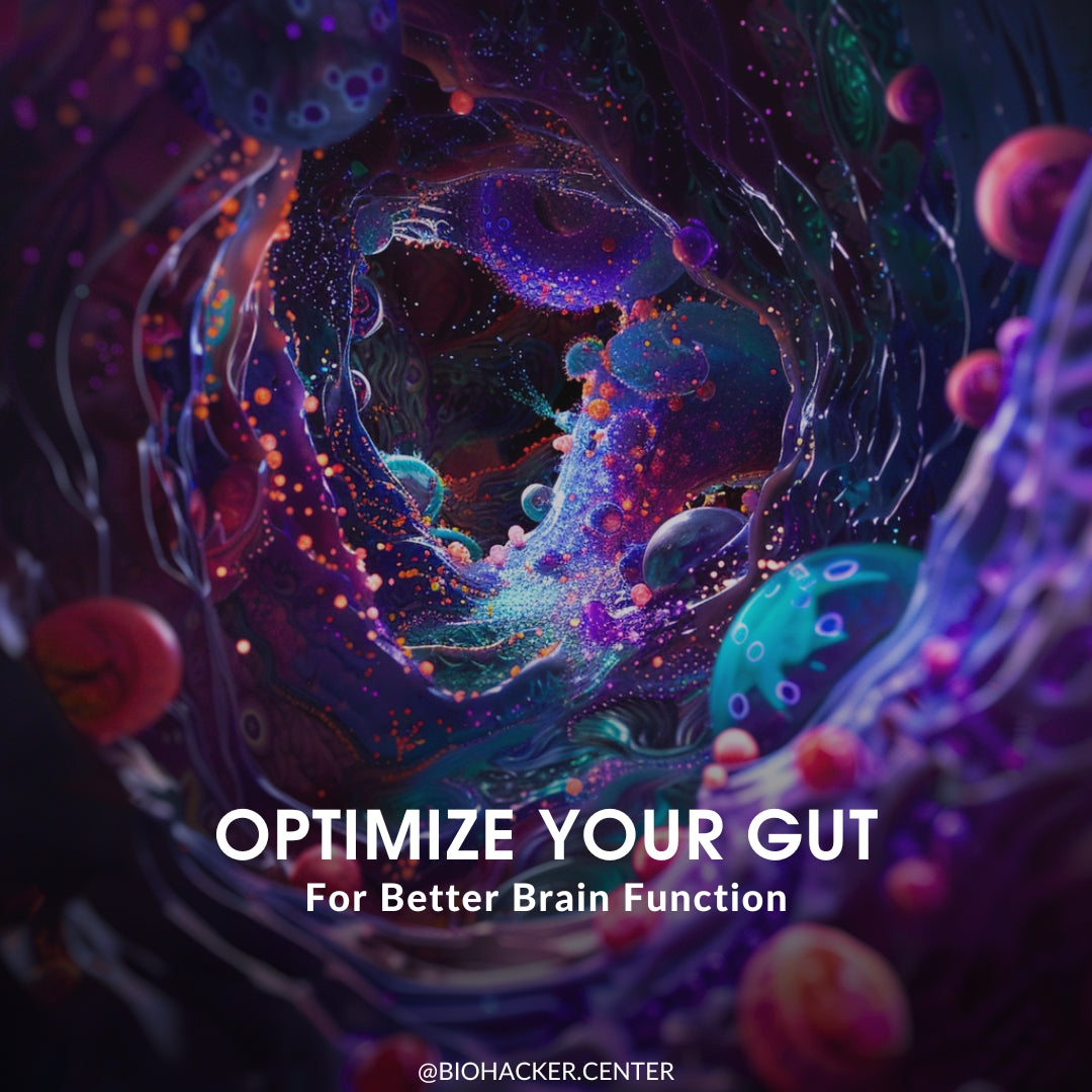 Optimize Your Gut Function: A Compact Guide