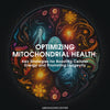 Optimizing Mitochondrial Health: Key Strategies for Boosting Cellular Energy and Promoting Longevity