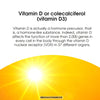 Everything you need to know about vitamin D