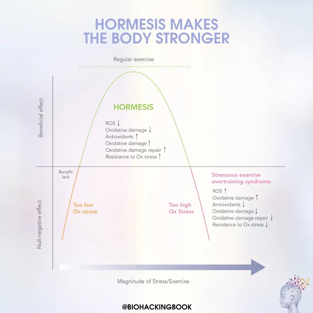 Hormesis Makes the Body Stronger