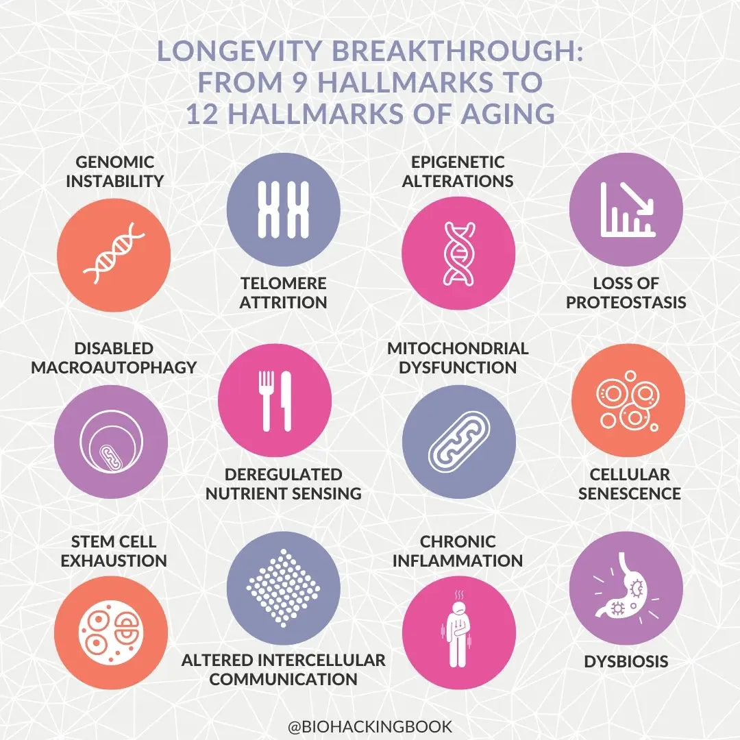 Longevity Research Breakthrough: From 9 Hallmarks to 12