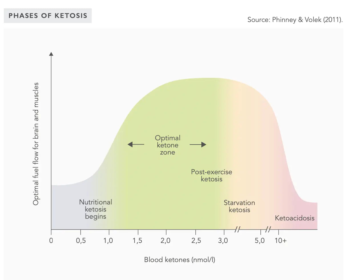 Measuring Ketosis - How To Monitor Your Ketosis Accurately?