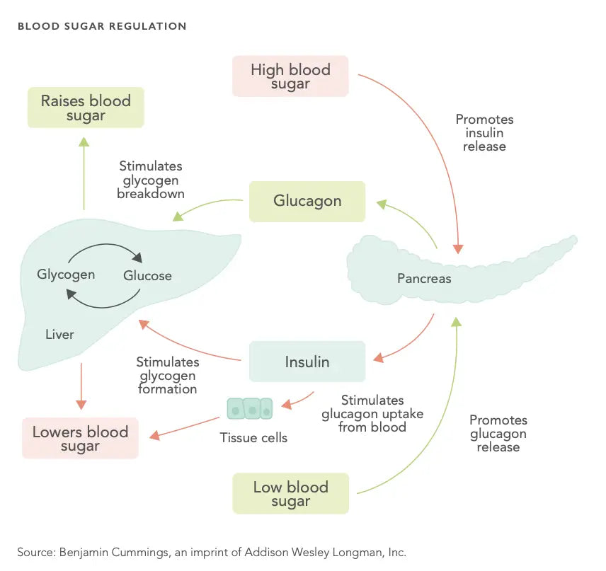 How to optimize your blood glucose levels?