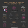 The 9+1 Hallmarks of Aging and How to Reverse Them