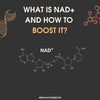 What is NAD+ and how to boost it?