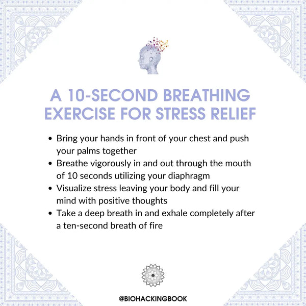 An Overview of Different Breathing Techniques and Their