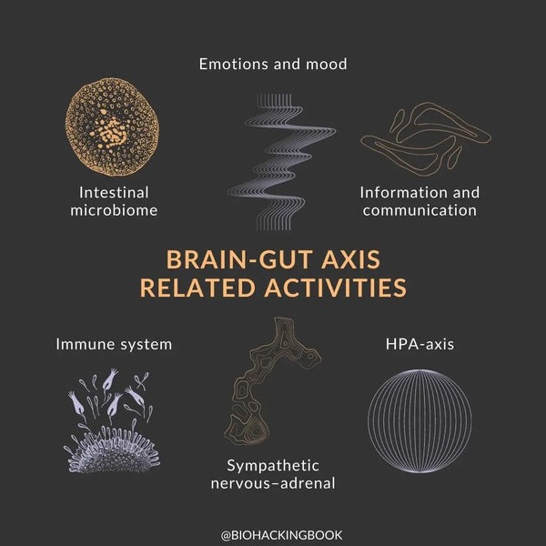 How Does Food Affect Your Mind and the Brain?