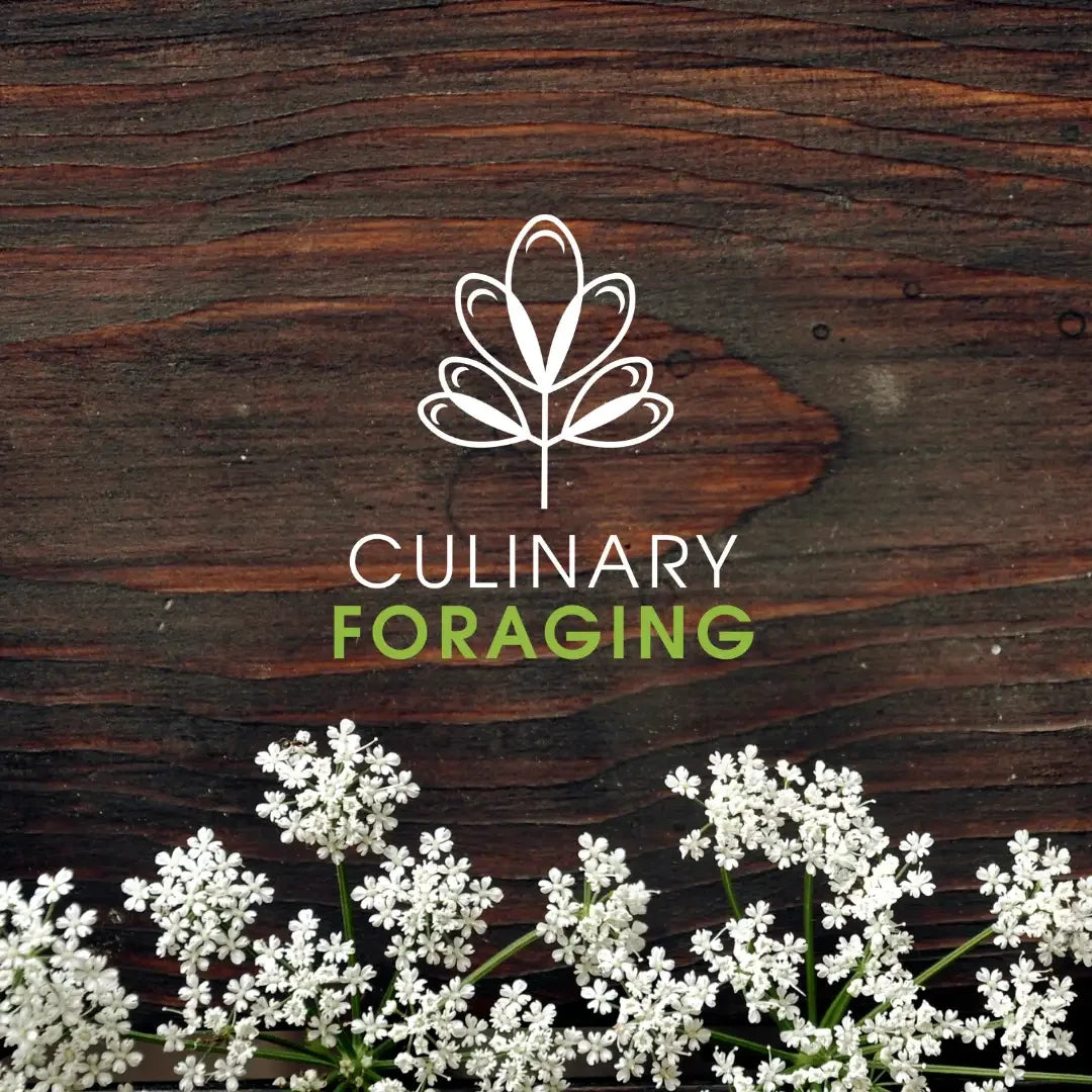 Кулинарное собирательство — онлайн-курс с шеф-поваром Сами Таллбергом