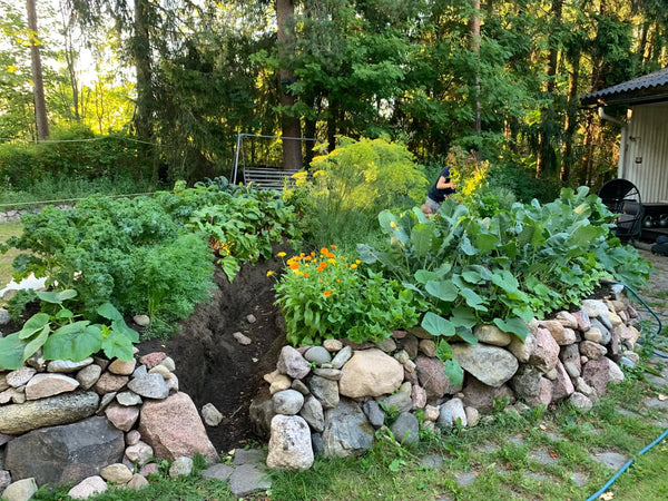 Reconectando con la naturaleza: transformando la salud