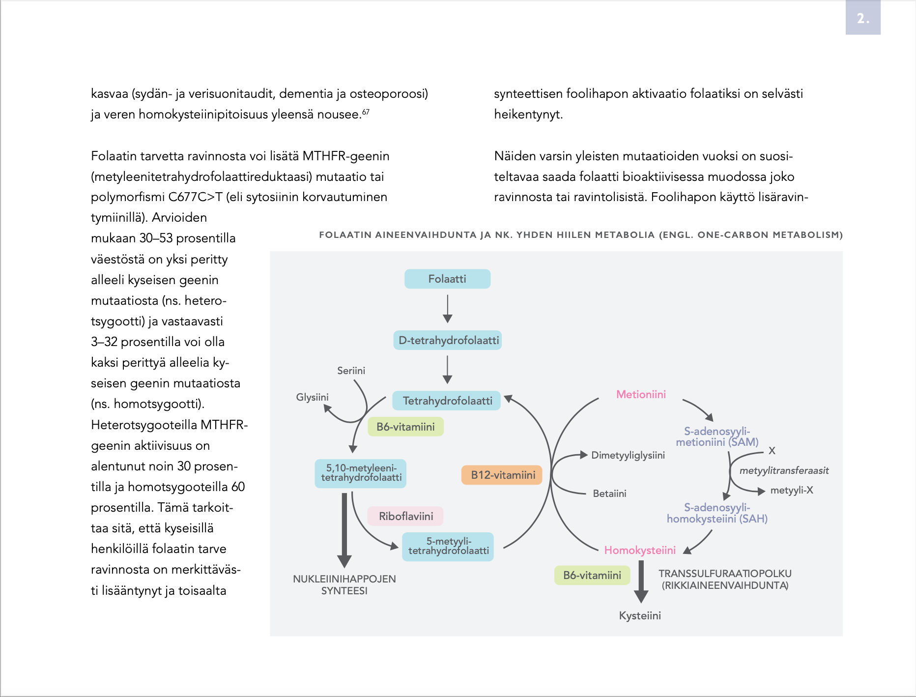 Biohakkerin ravitsemusopas (painettu kirja)