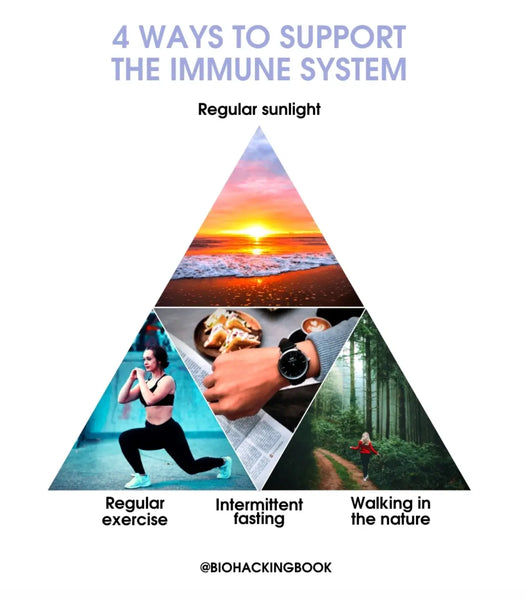 7 Ways to Enhance Immunity