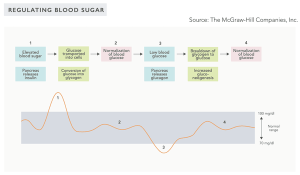 Optimal Blood Sugar Management – the Key to Stable Energy