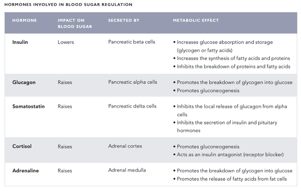 Optimal Blood Sugar Management – the Key to Stable Energy