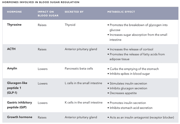 Optimal Blood Sugar Management – the Key to Stable Energy