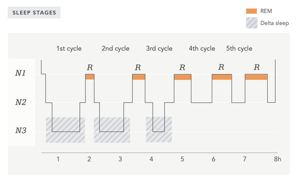 Gender Differences and Stages of Sleep – How Sex Hormones