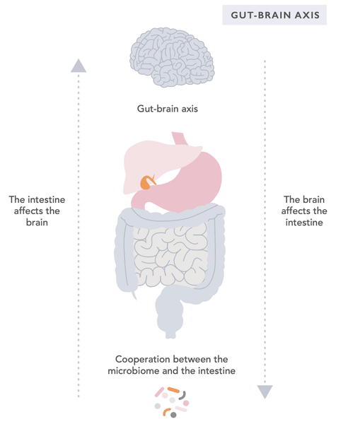 How to Activate the Vagus Nerve Reduce Stress