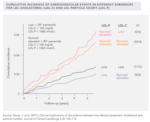 HDL and LDL Cholesterol: How Do You Optimize Your Blood