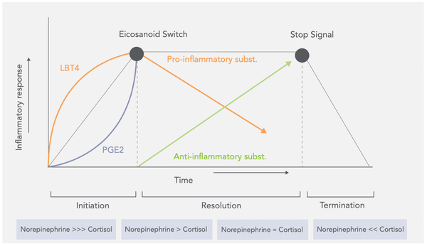 Silent Inflammation: How to Control It With Lifestyle?