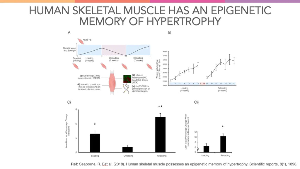 Advanced Supplementation for Weight Loss Muscle Building