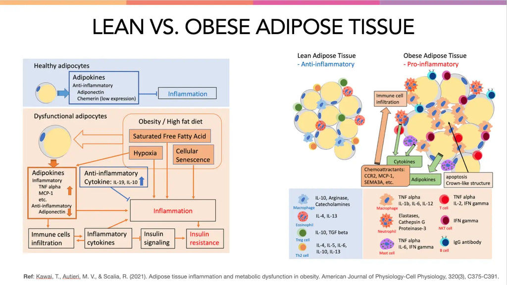 Advanced Supplementation for Weight Loss Muscle Building