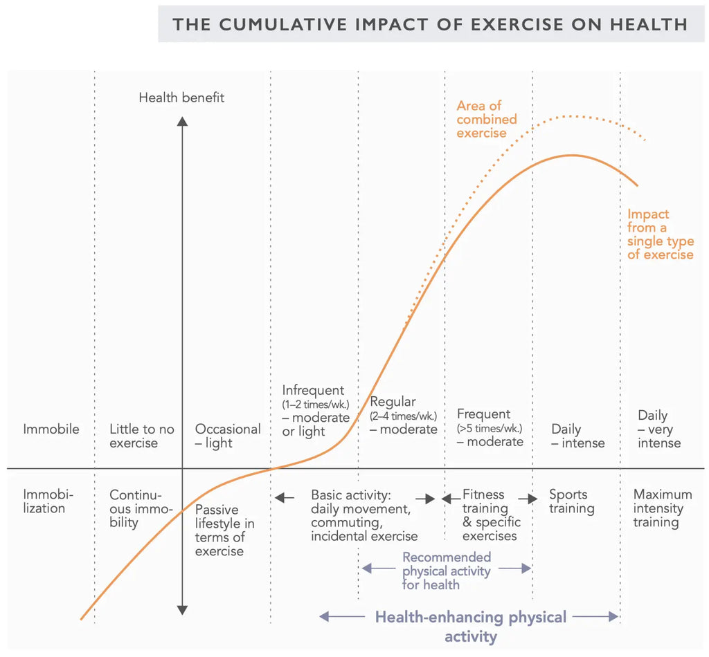 The Ultimate Guide to Longevity: Top 10 Habits for a Long