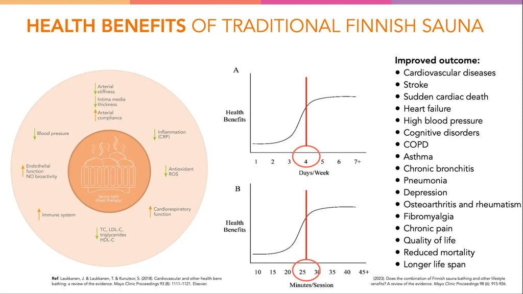 The Ultimate Guide to Longevity: Top 10 Habits for a Long