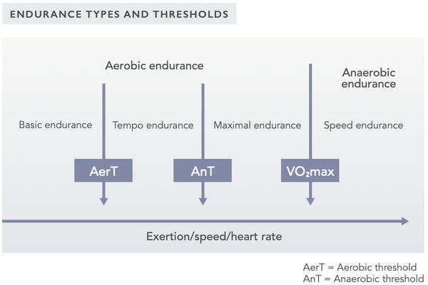 Cómo Aumentar Tu VO2max: Una Revisión Completa