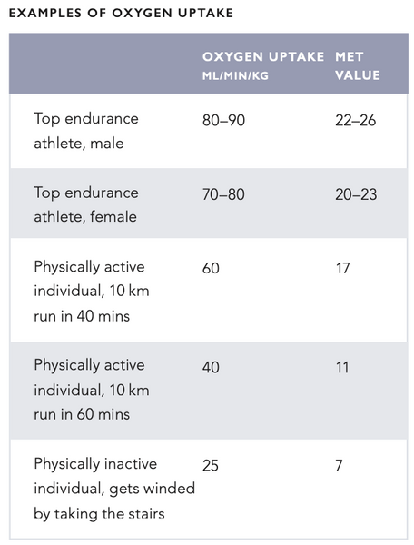 Cómo Aumentar Tu VO2max: Una Revisión Completa