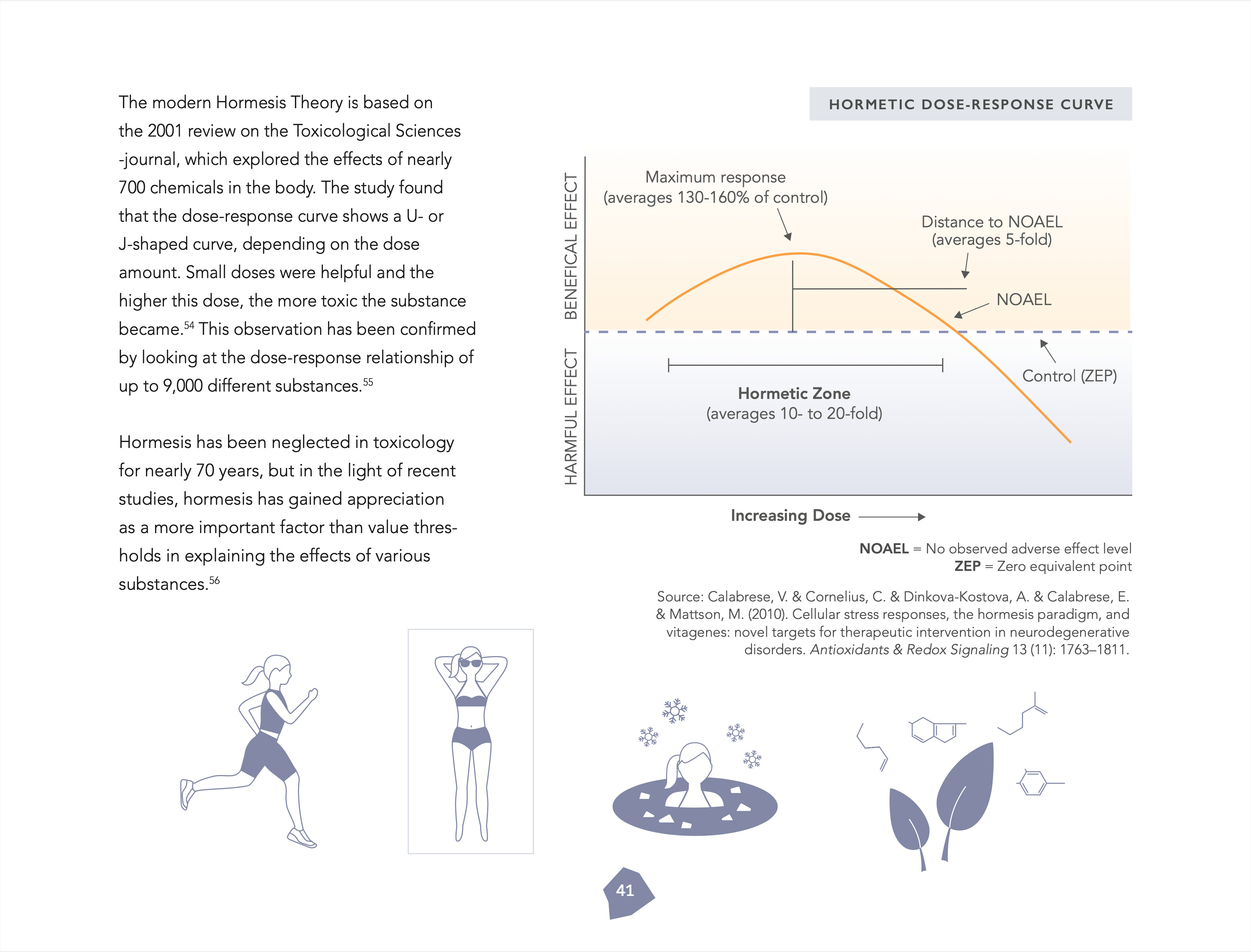 The Resilient Being: Mastering the Biology of Stress & Resilience (kovakantinen)