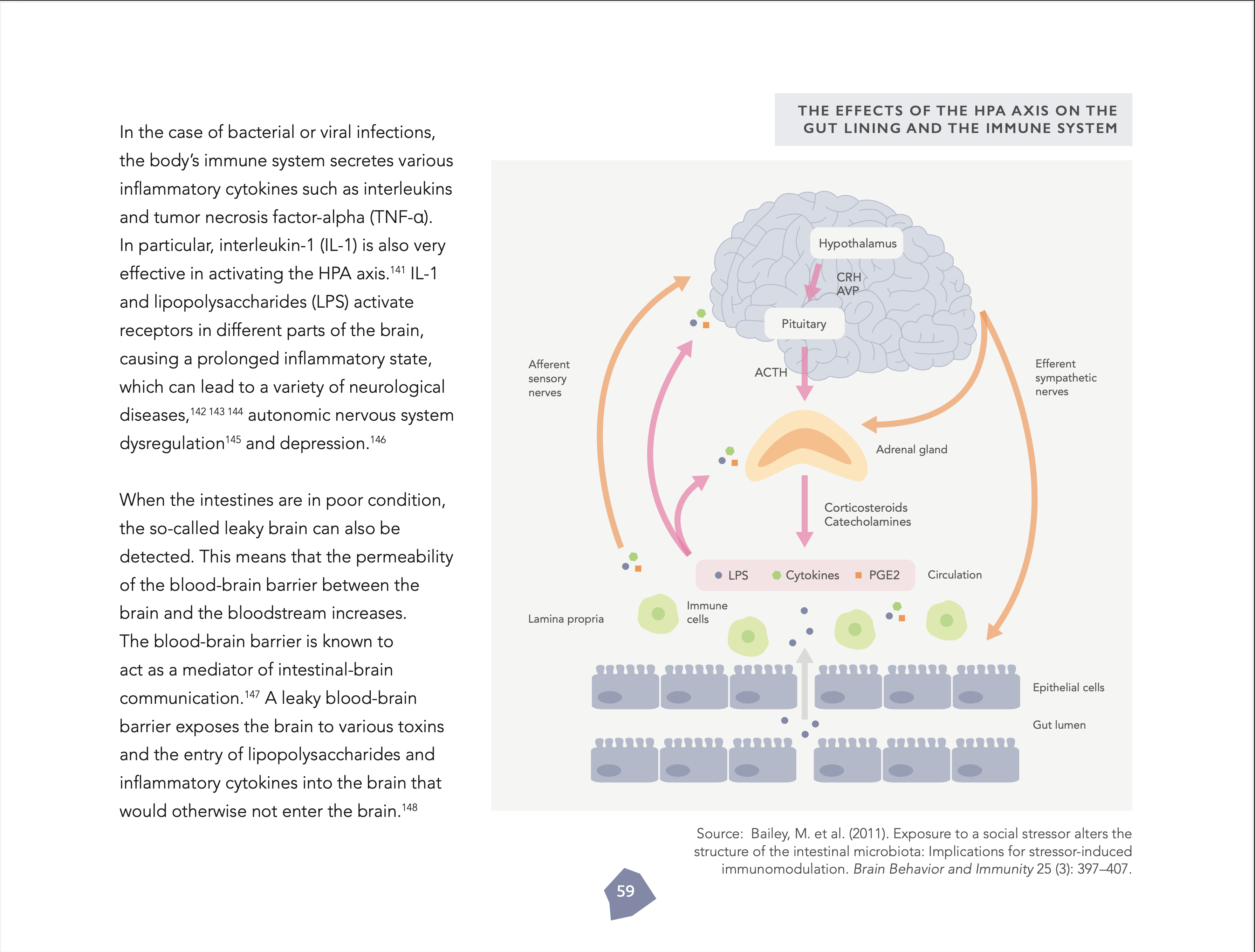 The Resilient Being: Mastering the Biology of Stress & Resilience (kovakantinen)