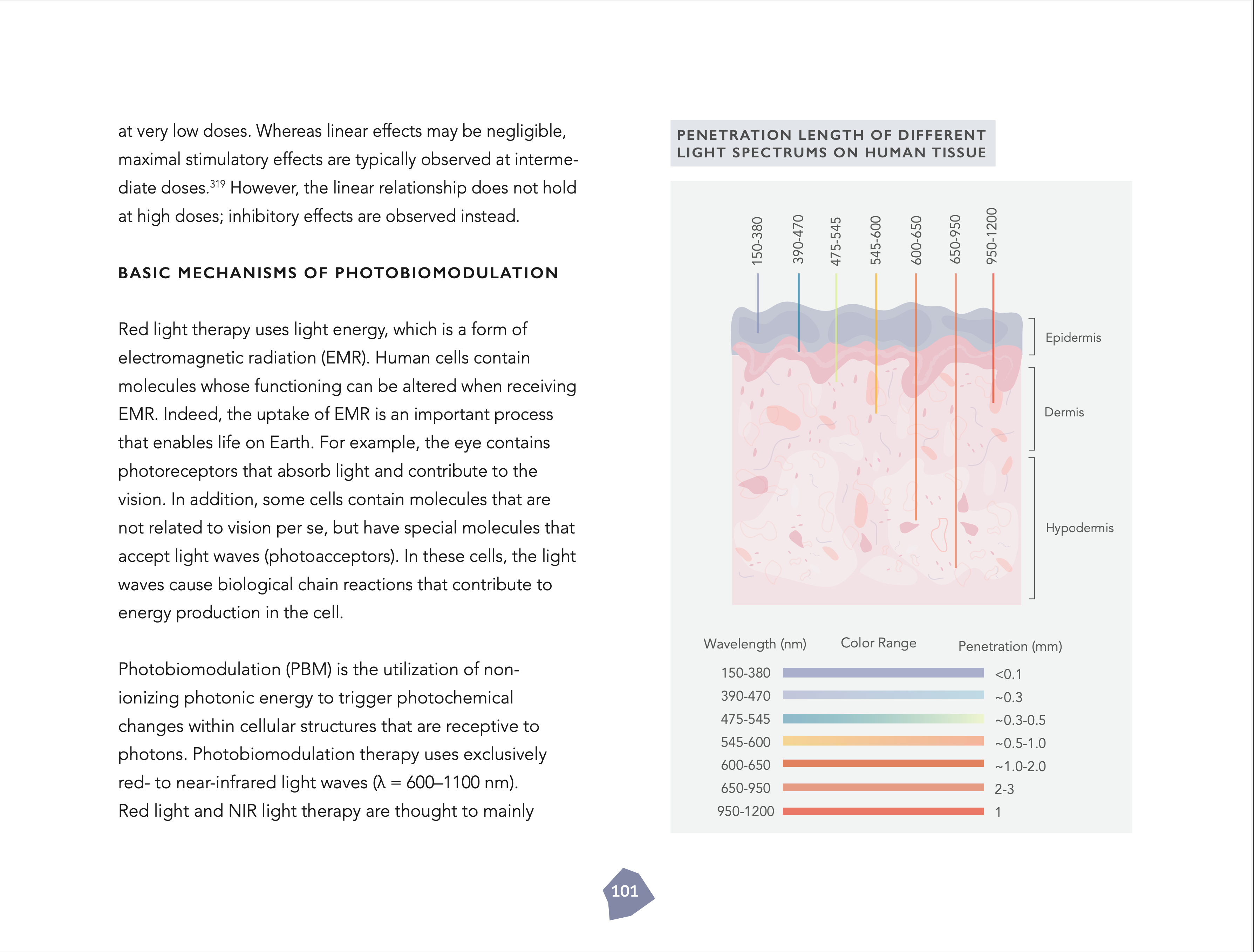 The Resilient Being: Mastering the Biology of Stress & Resilience (kovakantinen)