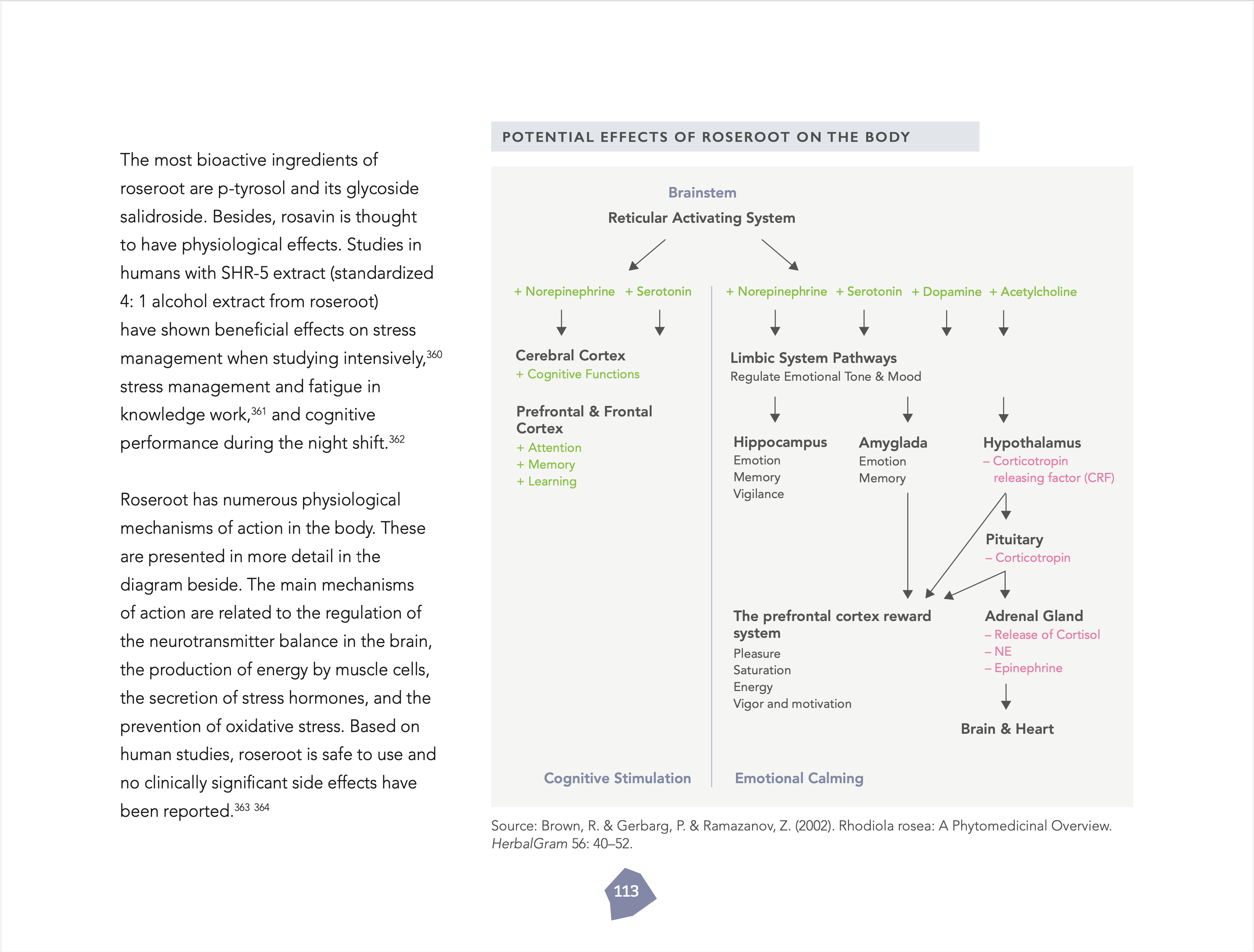 The Resilient Being: Mastering the Biology of Stress & Resilience (kovakantinen)