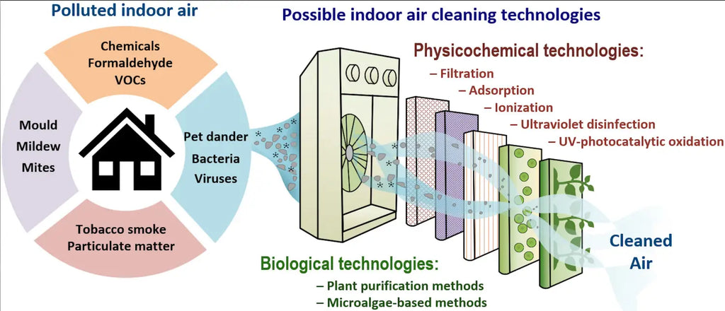 Air Quality Essentials – A Deep Dive into Purification