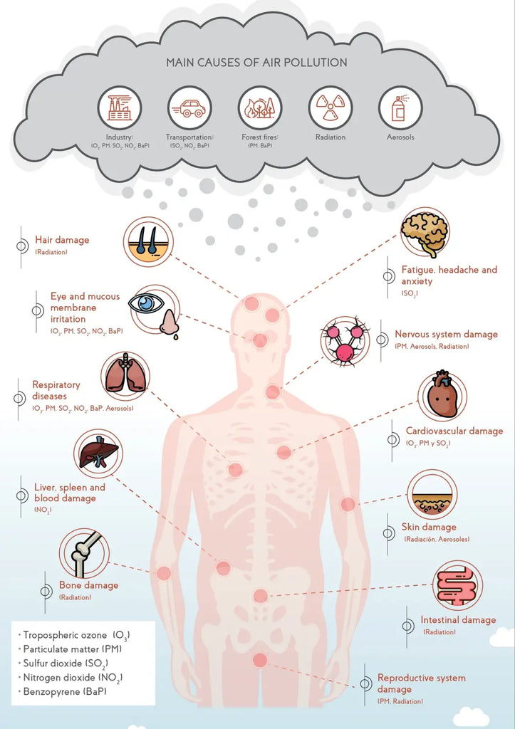 Air Quality Essentials – A Deep Dive into Purification