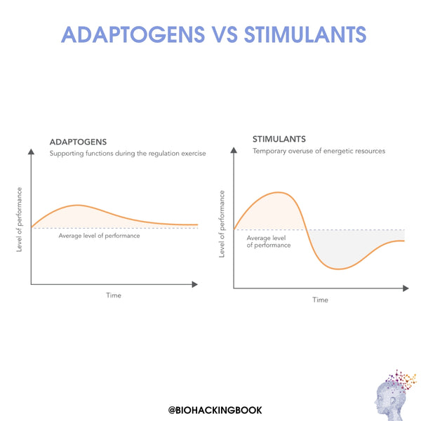 Top 5 Adaptogene Kruiden voor het Verhogen van Stressbestendigheid