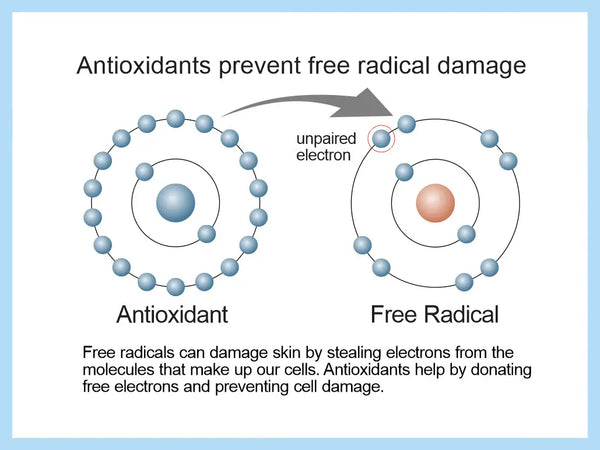 Antioxidantes y Estrés Oxidativo – ¿Demasiado o Muy Poco?