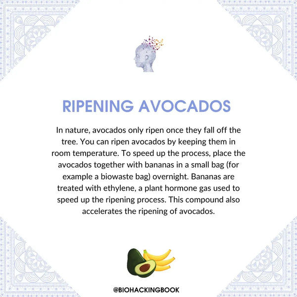 Ripening avocados