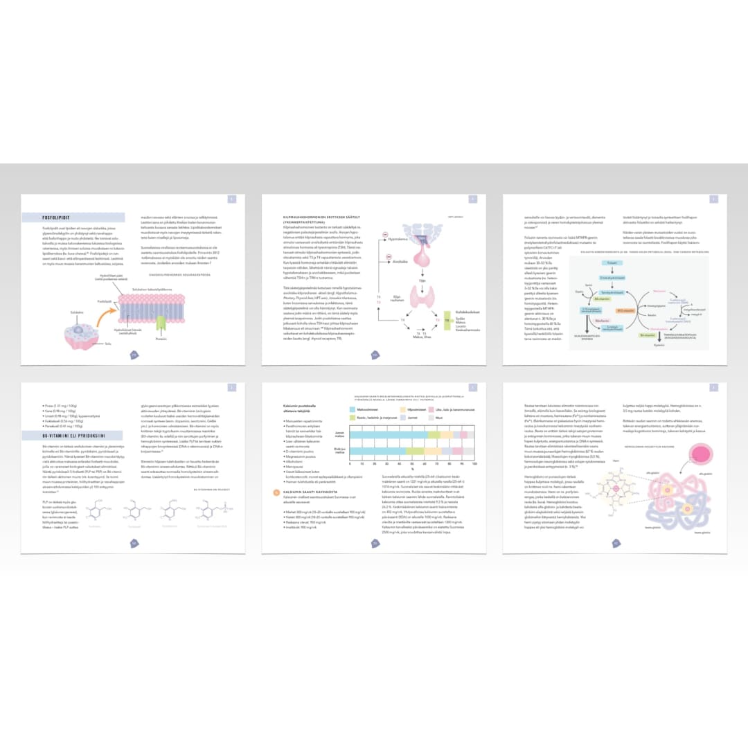 Biohakkerin voedingsgids – Update de inname van voedingsstoffen naar het optimale niveau (e-boek)