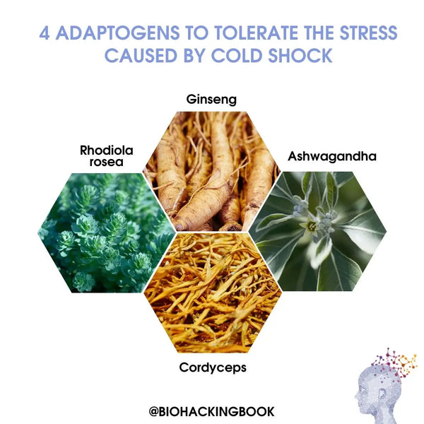 Top 5 Adaptogene Kruiden voor het Verhogen van Stressbestendigheid