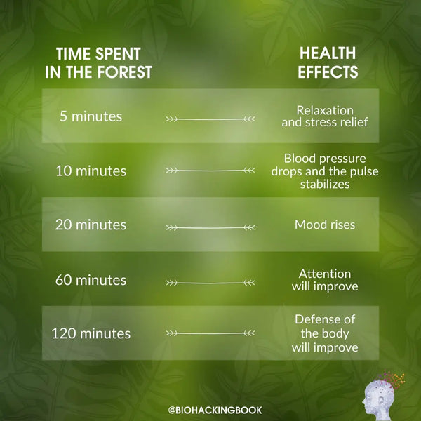 time spent in the forest