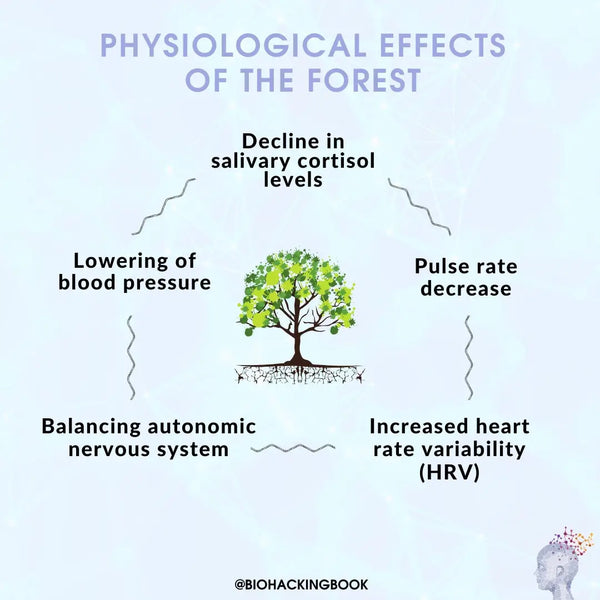 effects of the forest