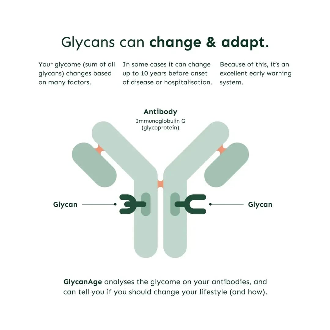 GlycanAge Bloedtest (Meet veroudering)