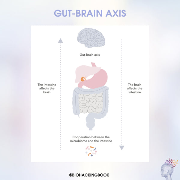 How Does Food Affect Your Mind and the Brain?