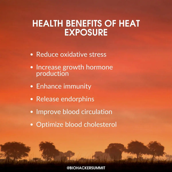 Heat Alteration: Health Benefits of Traditional Sauna &