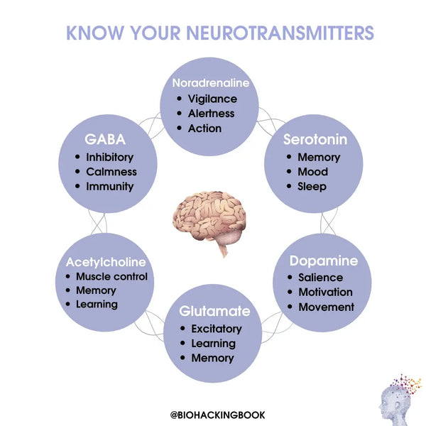 How Does Food Affect Your Mind and the Brain?