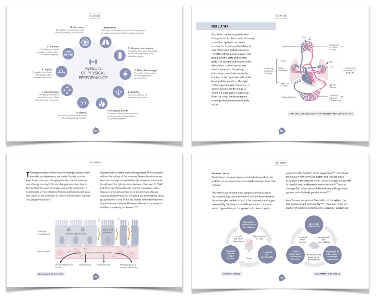 Справочник биохакера:обновите себя и раскройте свой внутренний потенциал (электронная книга)